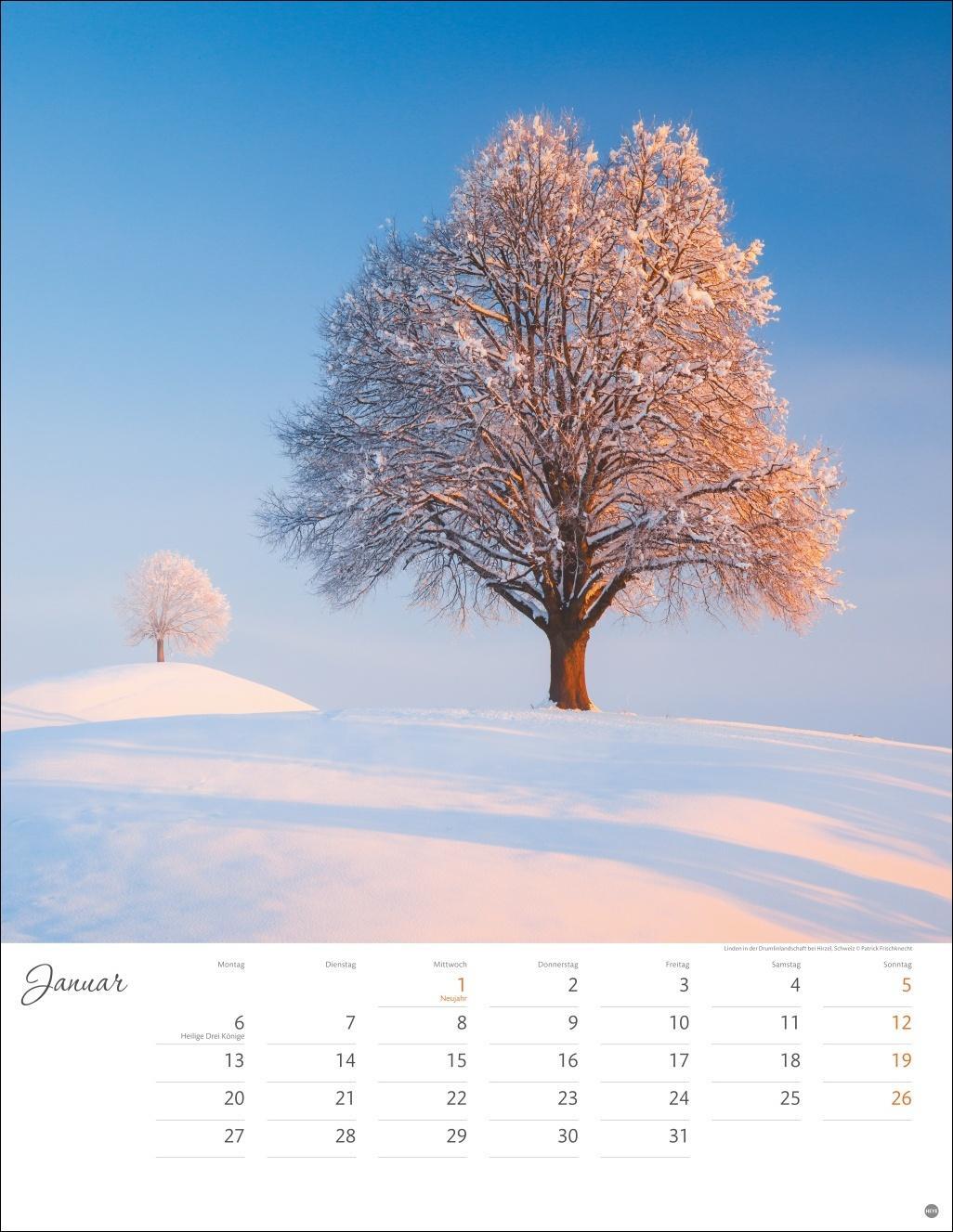 Bild: 9783756405268 | Jenseits der Hast Posterkalender 2025 | Heye | Kalender | 14 S. | 2025