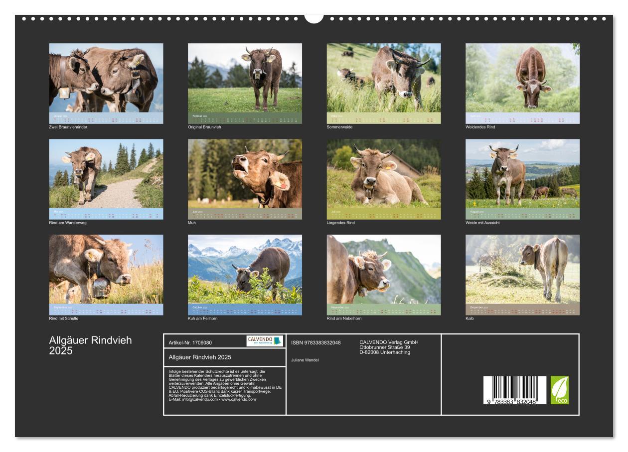 Bild: 9783383832048 | Allgäuer Rindvieh 2025 (hochwertiger Premium Wandkalender 2025 DIN...