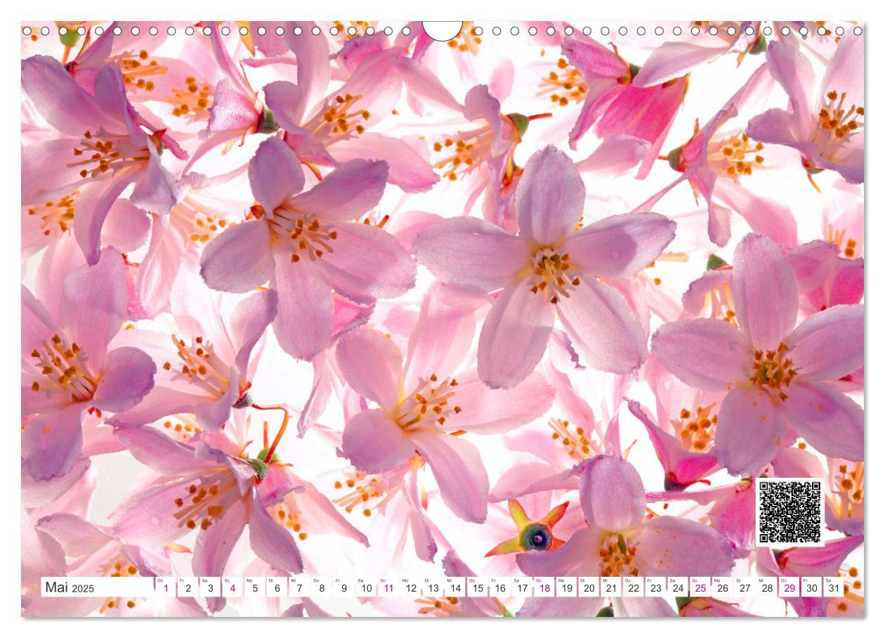 Bild: 9783435029716 | Blumen und dufte Musik (Wandkalender 2025 DIN A3 quer), CALVENDO...