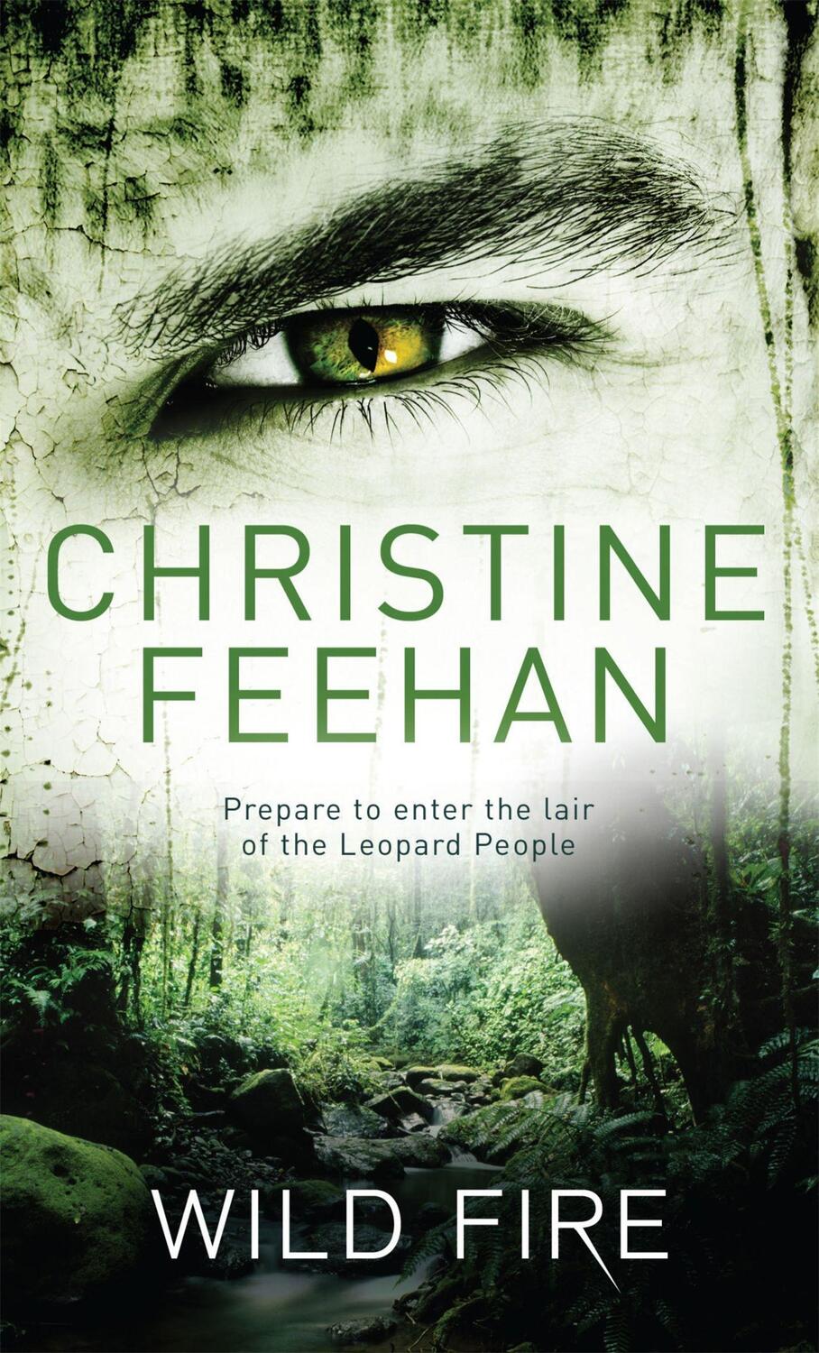 Cover: 9780349400075 | Wild Fire | Number 4 in series | Christine Feehan | Taschenbuch | 2010