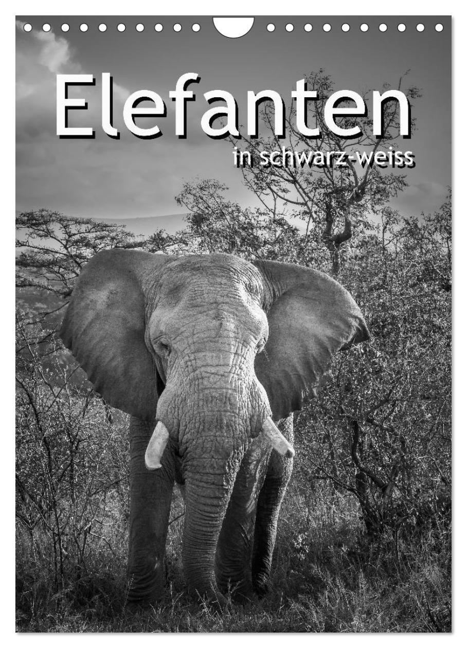 Cover: 9783457003978 | Elefanten in schwarz-weiss (Wandkalender 2025 DIN A4 hoch),...