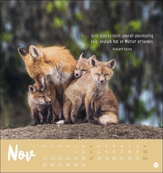 Bild: 9783756403677 | Mama! Postkartenkalender 2024. Entzückende Tier-Mütter und ihre...