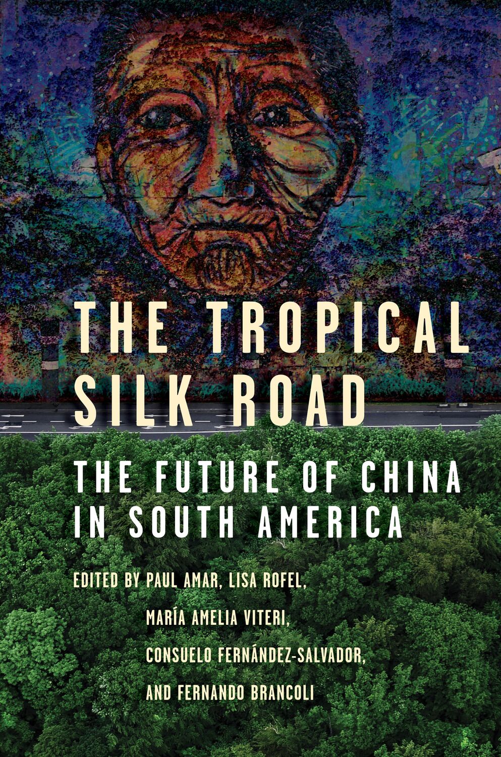 Cover: 9781503633803 | The Tropical Silk Road | The Future of China in South America | Buch