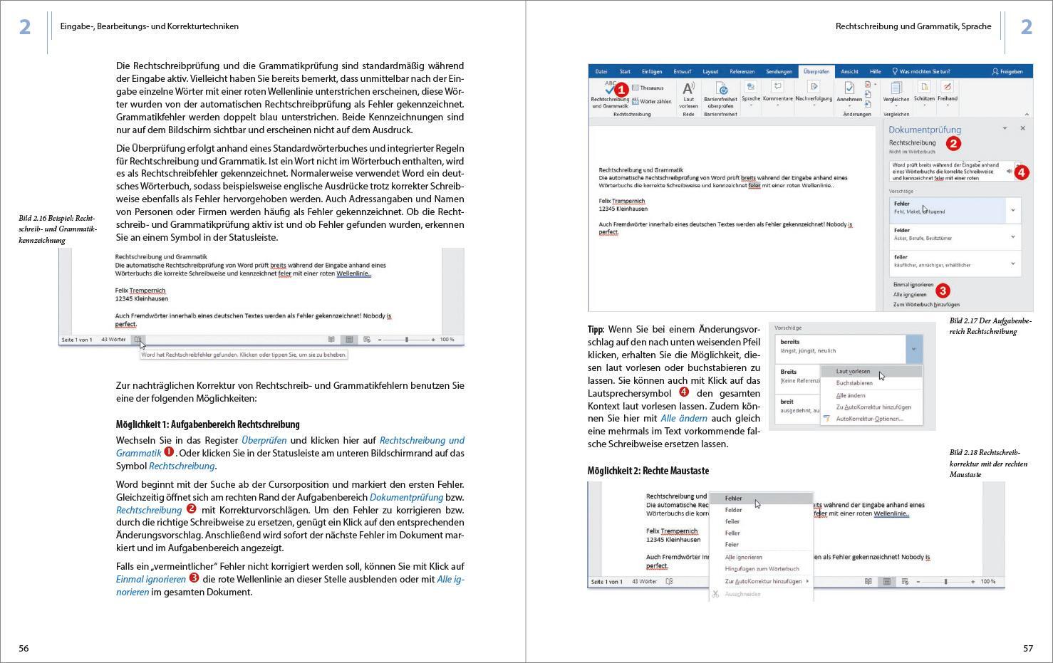 Bild: 9783832803407 | Word 2019 - Stufe 1: Grundlagen | Leicht verständlich. | Baumeister