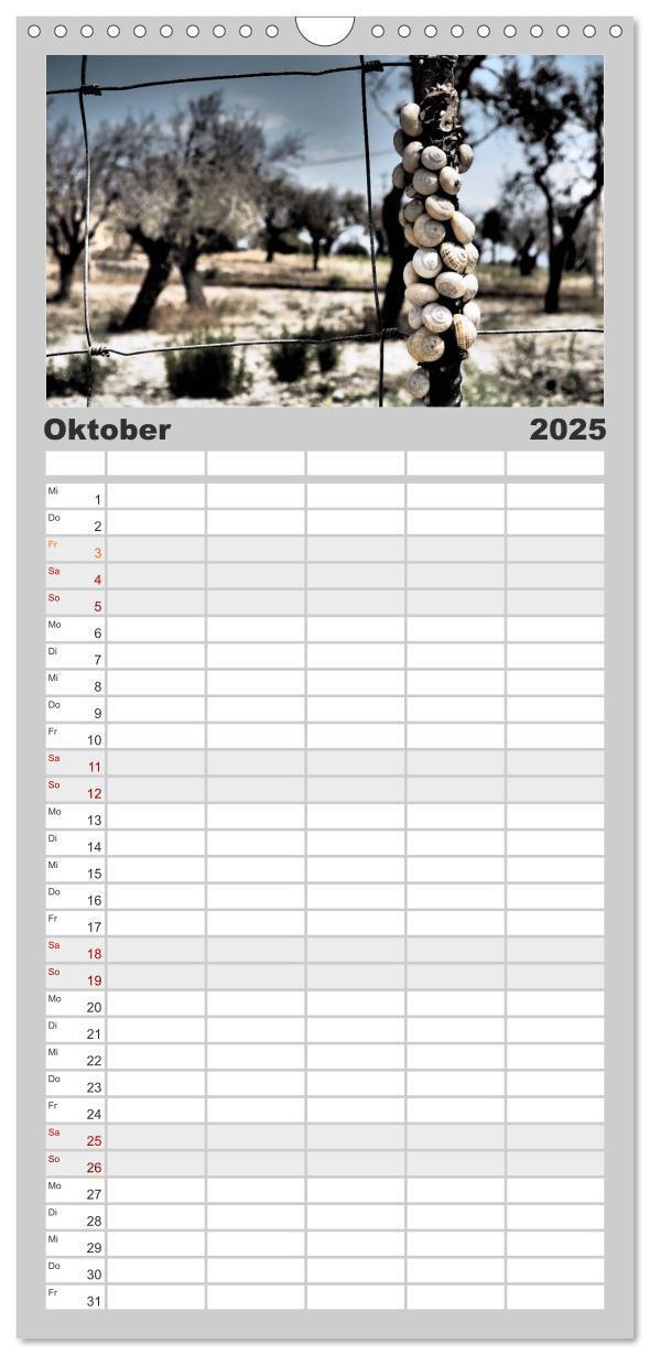 Bild: 9783457108161 | Familienplaner 2025 - Warten auf Regen mit 5 Spalten (Wandkalender,...