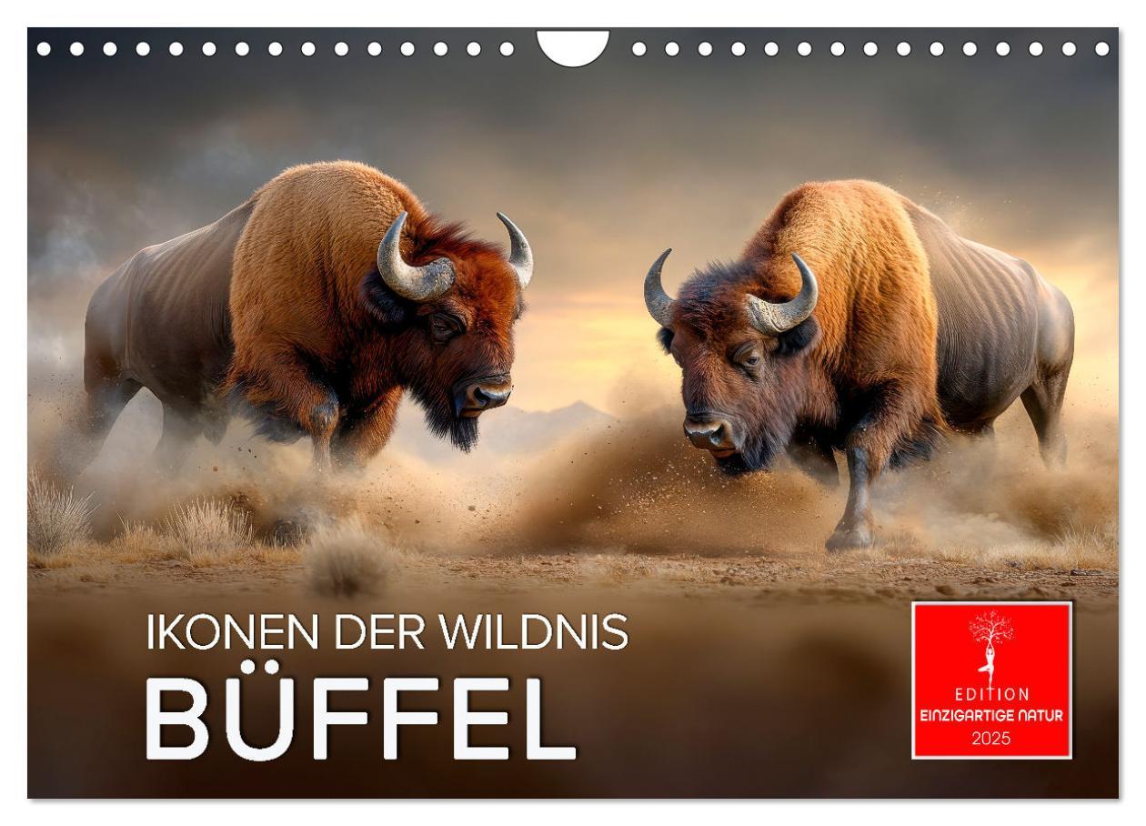 Cover: 9783457238349 | Büffel - Ikonen der Wildnis (Wandkalender 2025 DIN A4 quer),...