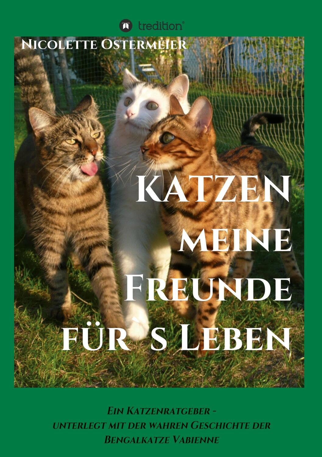 Cover: 9783347230972 | KATZEN - meine Freunde für's Leben | Nicolette Ostermeier | Buch