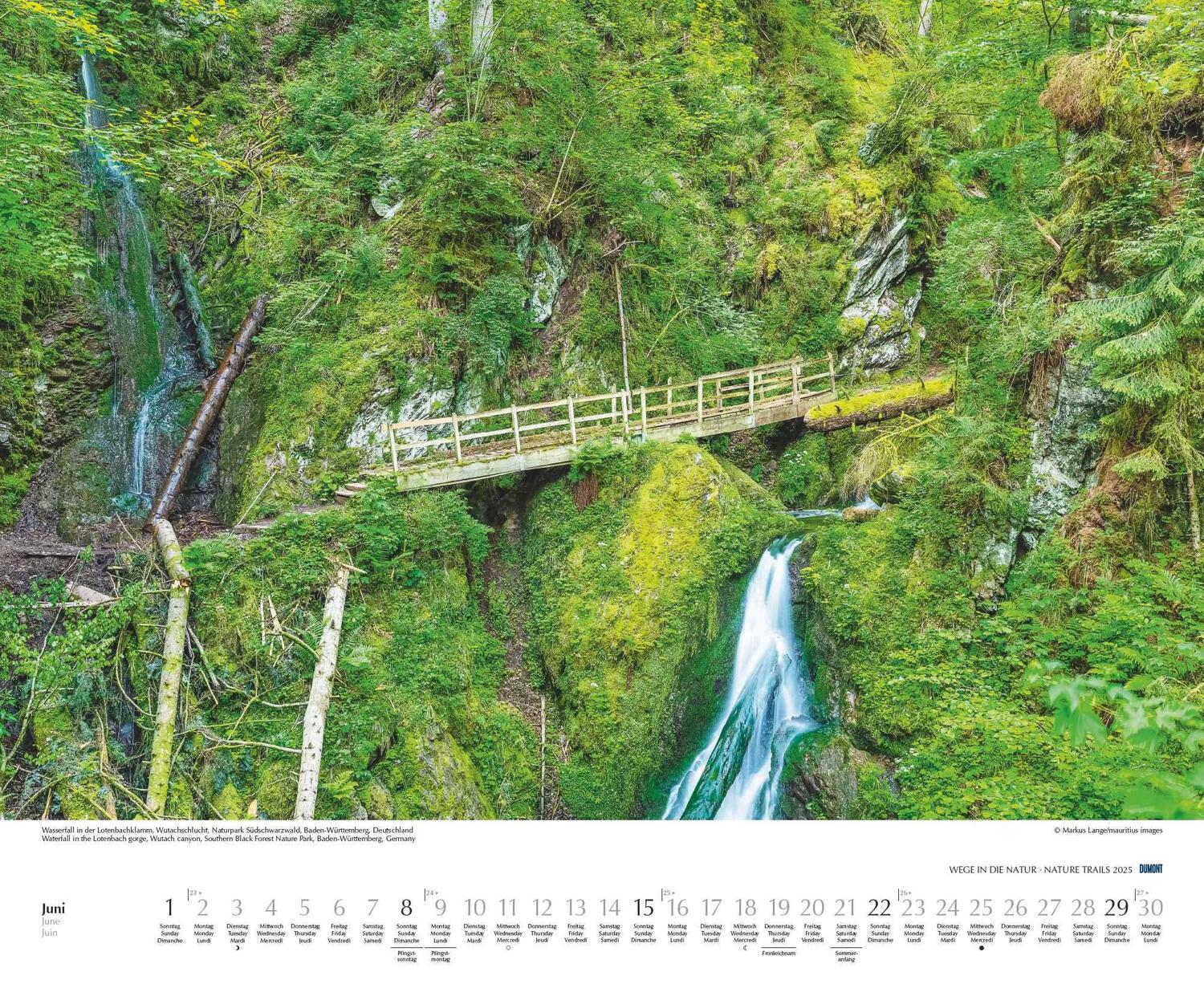 Bild: 4250809652719 | Wege in die Natur 2025 - Wandkalender 52 x 42,5 cm - Spiralbindung