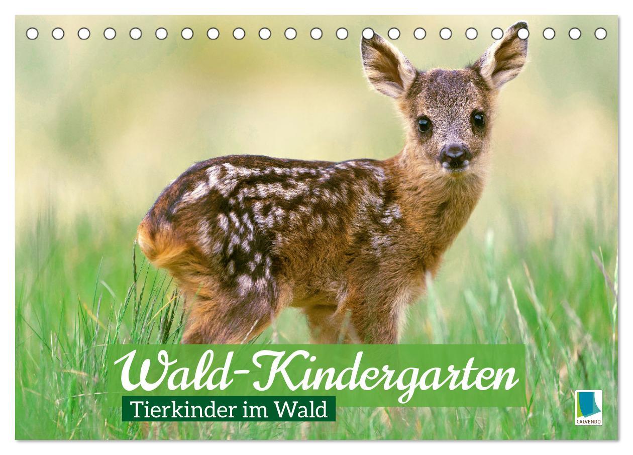 Cover: 9783457183793 | Wald-Kindergarten: Tierkinder im Wald (Tischkalender 2025 DIN A5...