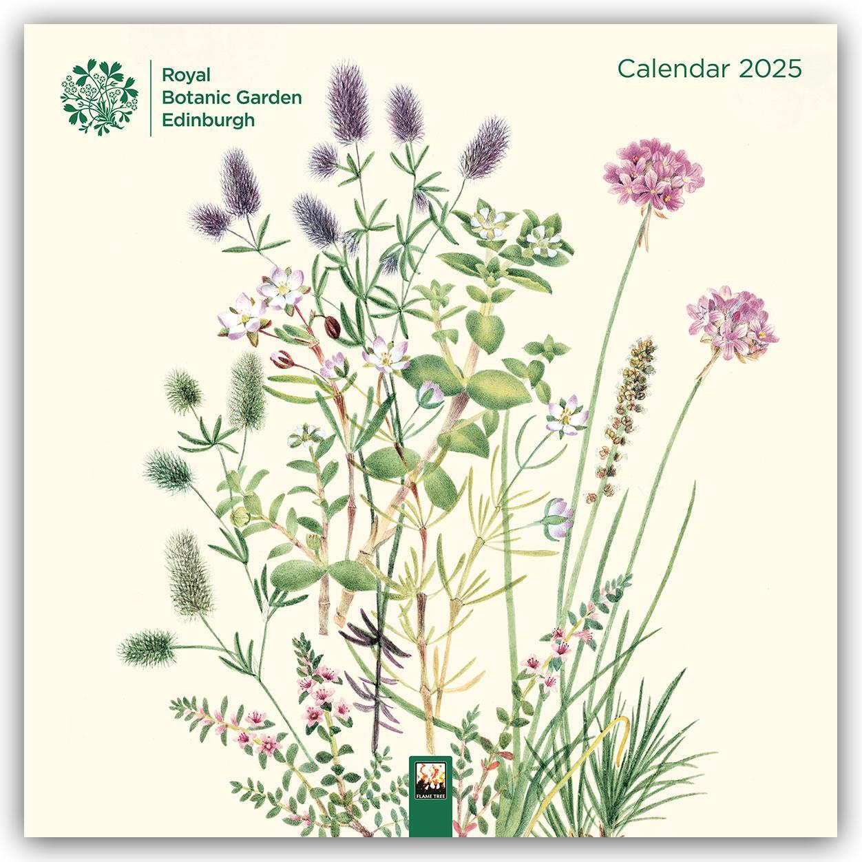 Cover: 9781835620755 | Royal Botanic Garden Edinburgh Wall Calendar 2025 (Art Calendar)