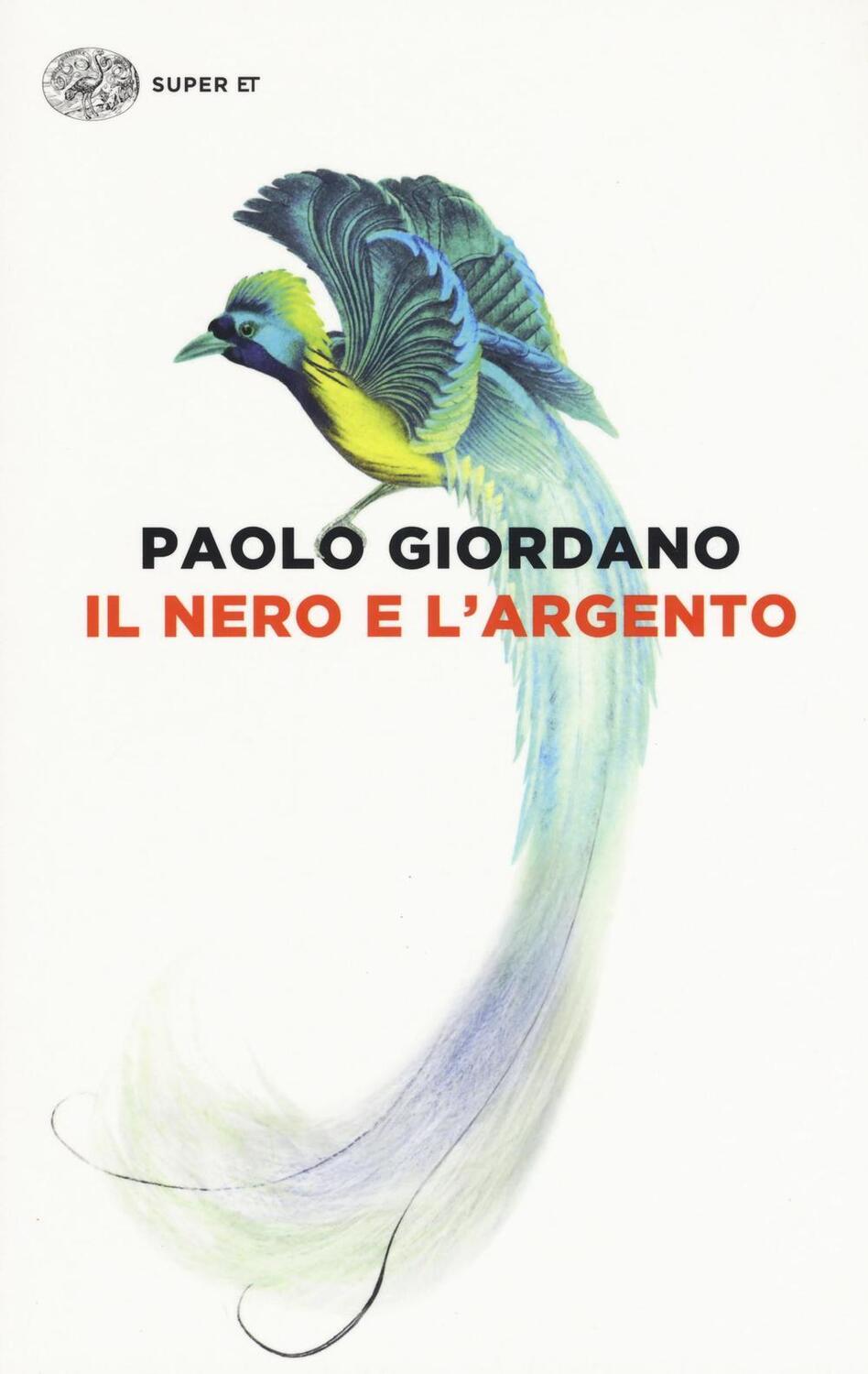 Cover: 9788806233020 | Il nero e l'argento | Paolo Giordano | Taschenbuch | Italienisch