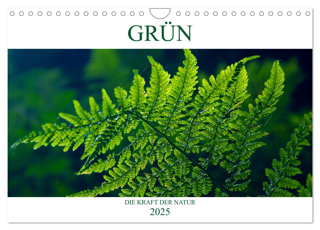 Cover: 9783435451418 | GRÜN . Die Kraft der Natur (Wandkalender 2025 DIN A4 quer),...