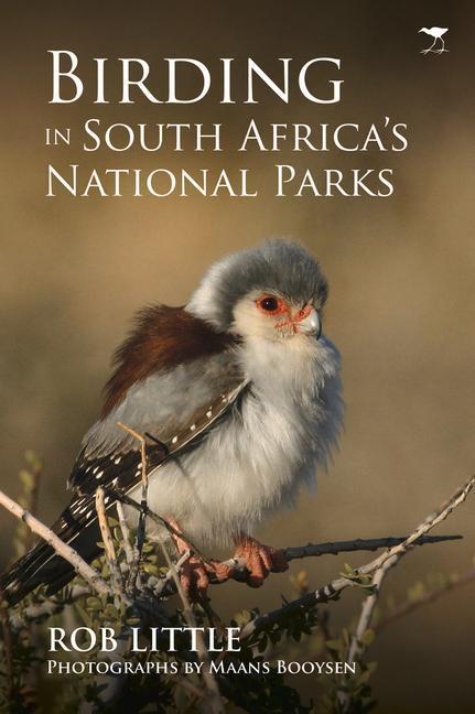 Cover: 9781431426898 | Birding in South Africa's national parks | Rob Little | Taschenbuch