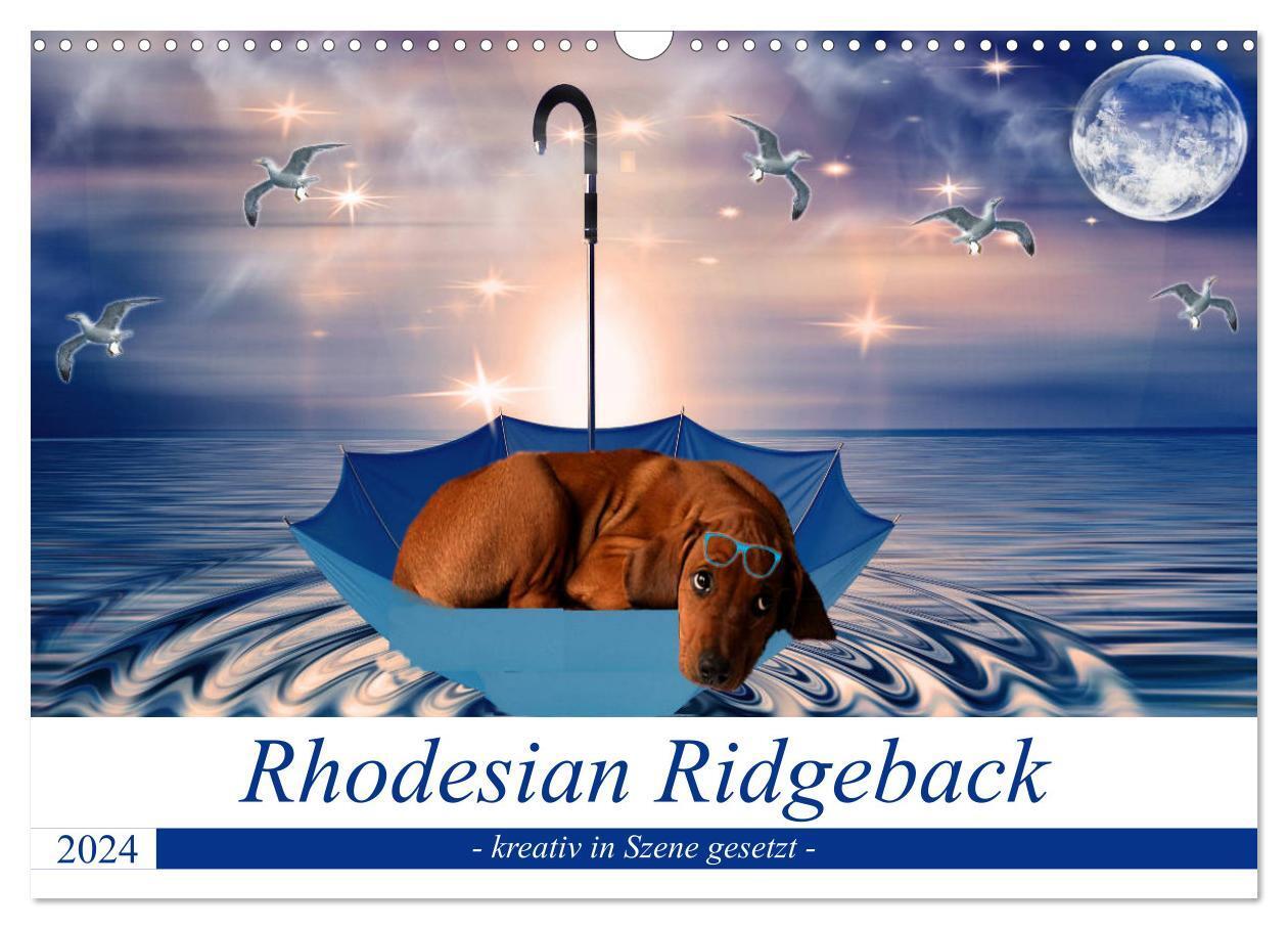 Cover: 9783383029004 | Rhodesian Ridgeback - kreativ in Szene gesetzt - (Wandkalender 2024...