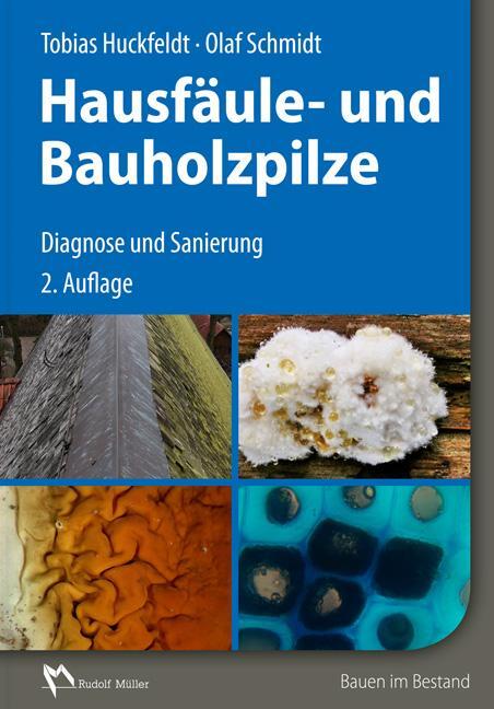 Cover: 9783481031008 | Holzfäule- und Bauholzpilze | Diagnose und Sanierung | Buch | Deutsch