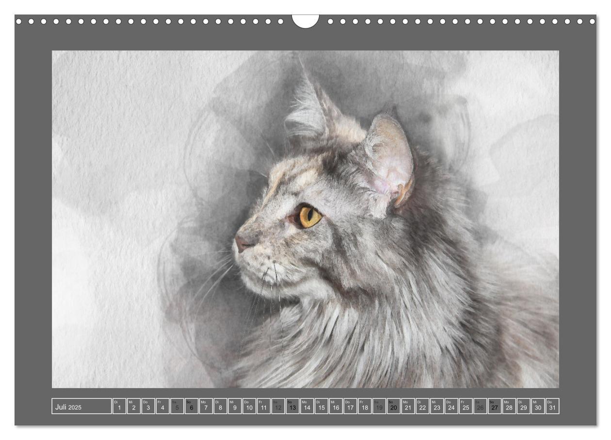 Bild: 9783435024186 | Maine Coon Aquarelle (Wandkalender 2025 DIN A3 quer), CALVENDO...