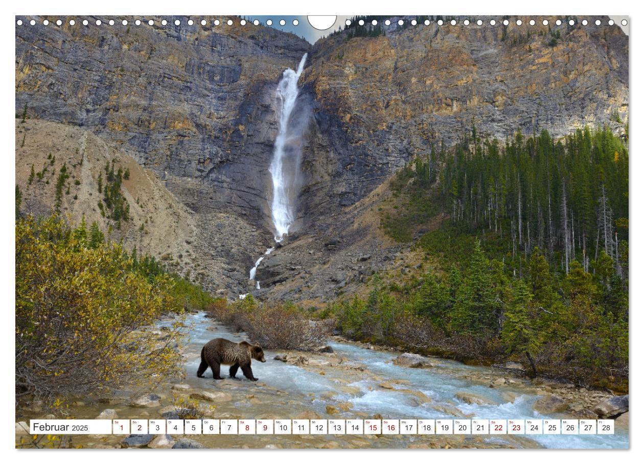 Bild: 9783383886898 | KANADA - Die Bären der Rocky Mountains (Wandkalender 2025 DIN A3...