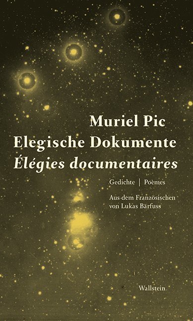 Cover: 9783835333628 | Elegische Dokumente / Élegies documentaires | Gedichte / Poèmes | Pic