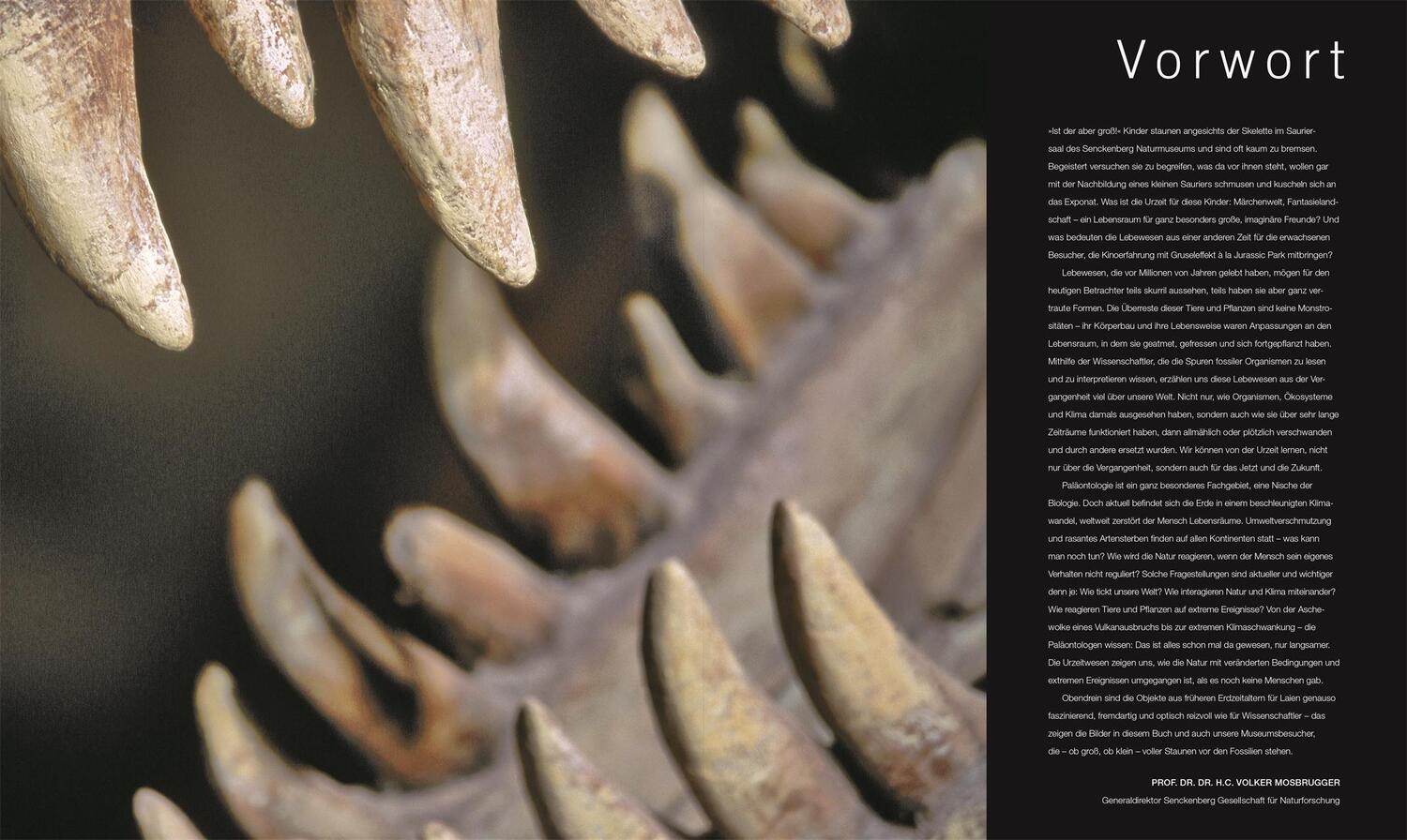 Bild: 9783831040308 | Dinosaurier und andere Lebewesen der Urzeit | Buch | 440 S. | Deutsch
