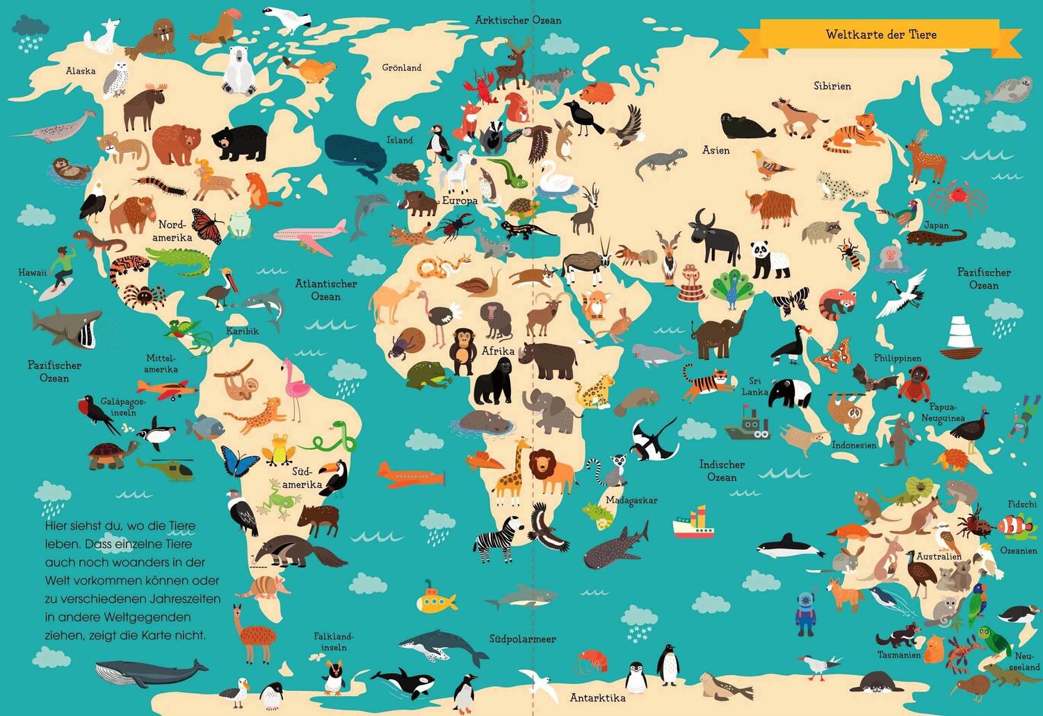 Bild: 9783809444619 | Zeichne deinen eigenen Tieratlas! Über 170 Tiere von 7 Kontinenten....