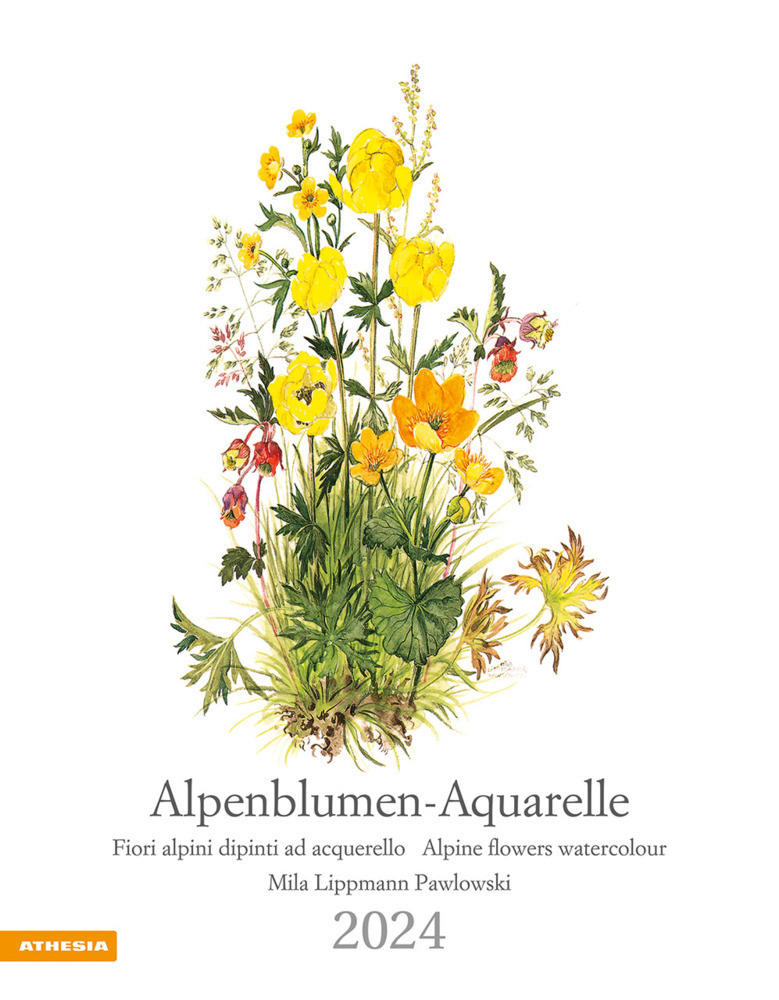 Cover: 9788868396688 | Alpenblumen-Aquarelle Kalender 2024 | Athesia-Tappeiner Verlag | 2024