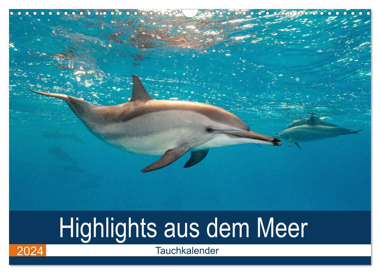 Cover: 9783675634626 | Highlights aus dem Meer - Tauchkalender (Wandkalender 2024 DIN A3...