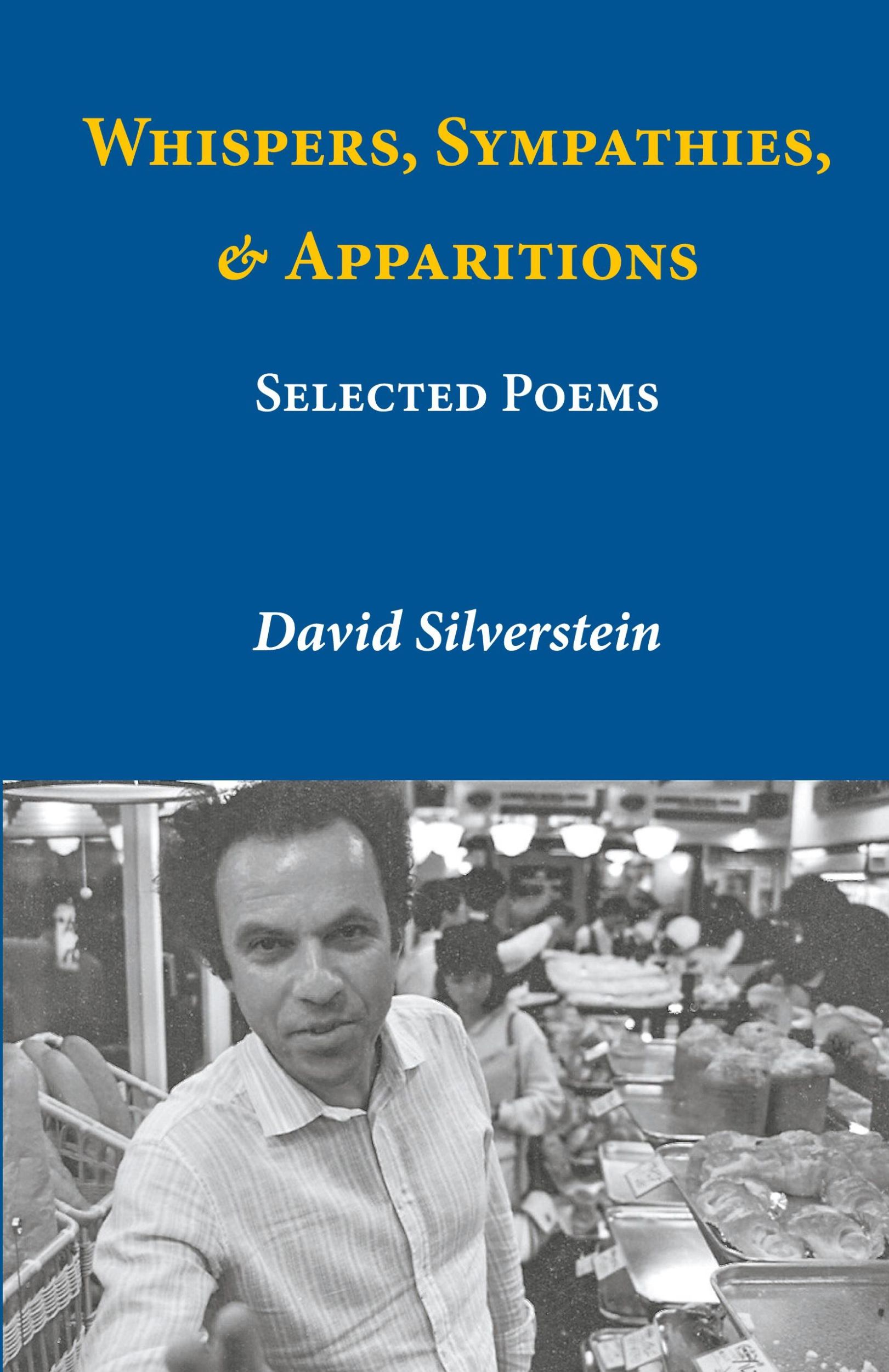 Cover: 9784907359041 | Whispers, Sympathies, &amp; Apparitions | David Silverstein | Taschenbuch