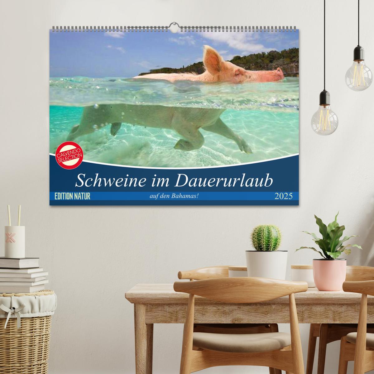 Bild: 9783435420759 | Schweine im Dauerurlaub auf den Bahamas! (Wandkalender 2025 DIN A2...