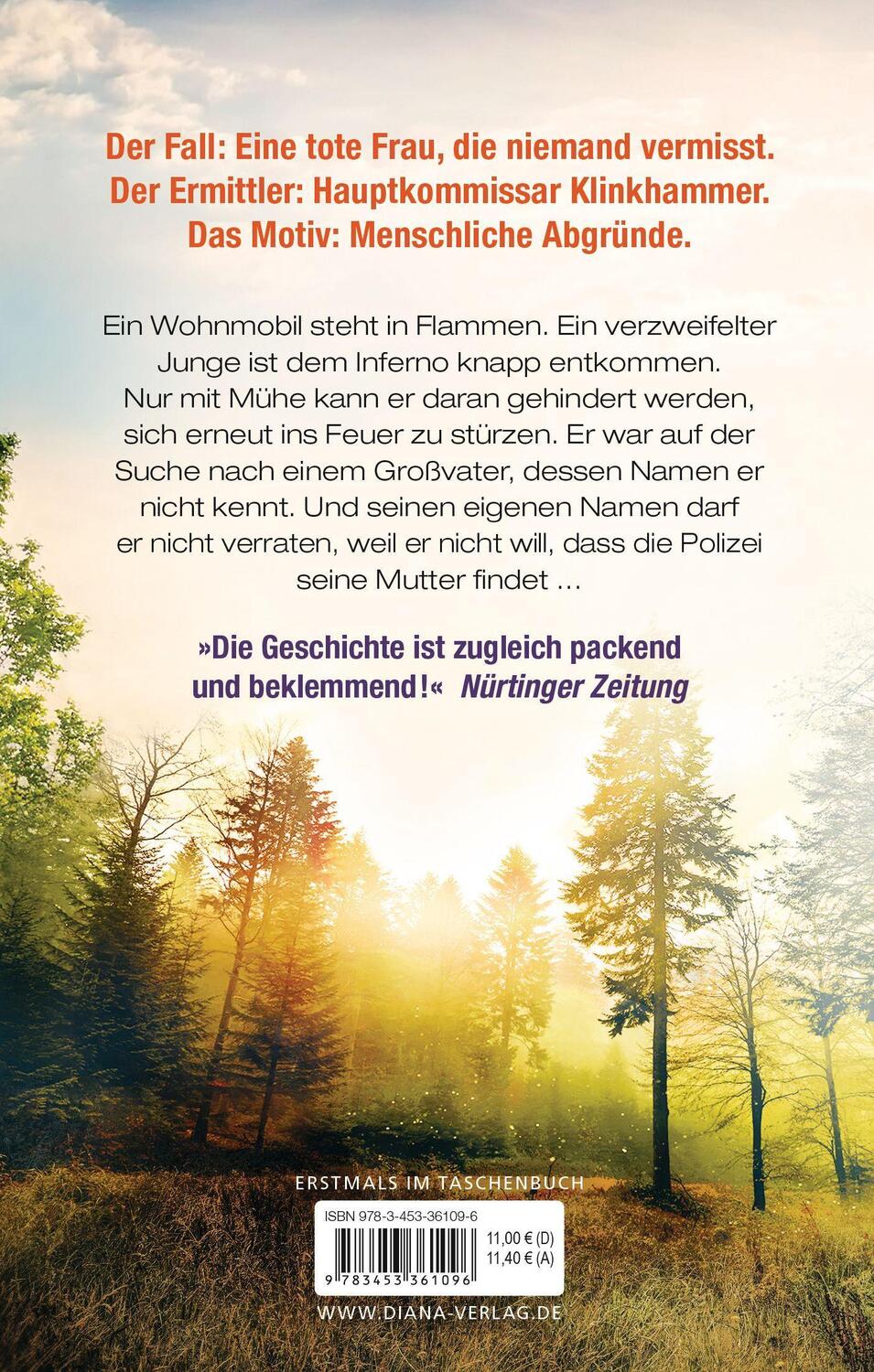 Bild: 9783453361096 | Nach dem Feuer | Roman | Petra Hammesfahr | Taschenbuch | Deutsch