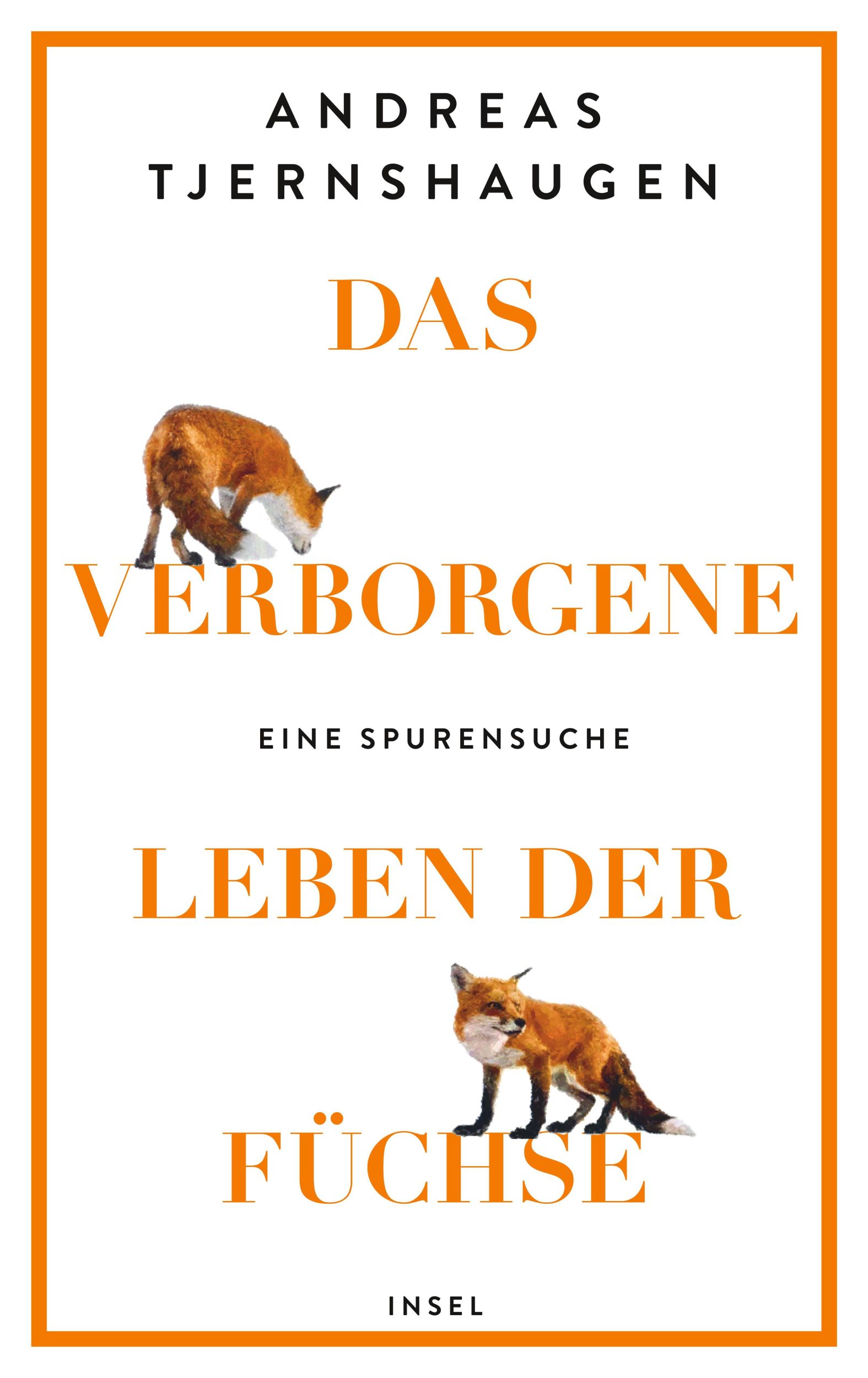 Cover: 9783458643715 | Das verborgene Leben der Füchse | Andreas Tjernshaugen | Buch | 214 S.