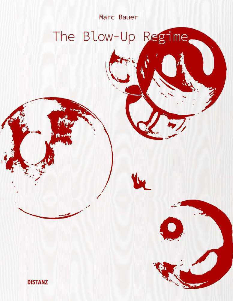 Cover: 9783954763634 | The Blow-Up Regime | (Deutsch/Englisch) | Marc Bauer | Buch | Deutsch