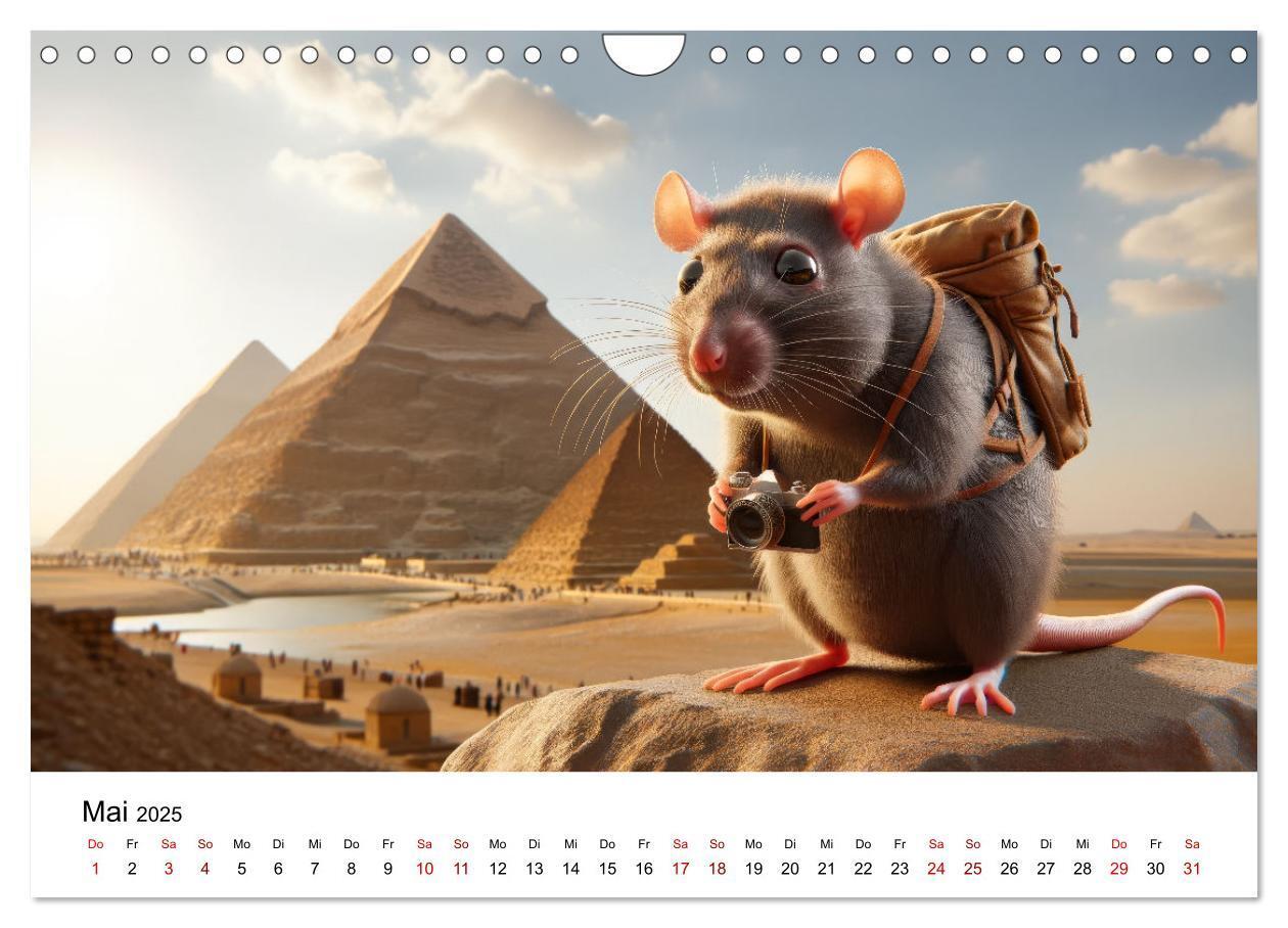 Bild: 9783383787539 | Ratten auf Reisen (Wandkalender 2025 DIN A4 quer), CALVENDO...