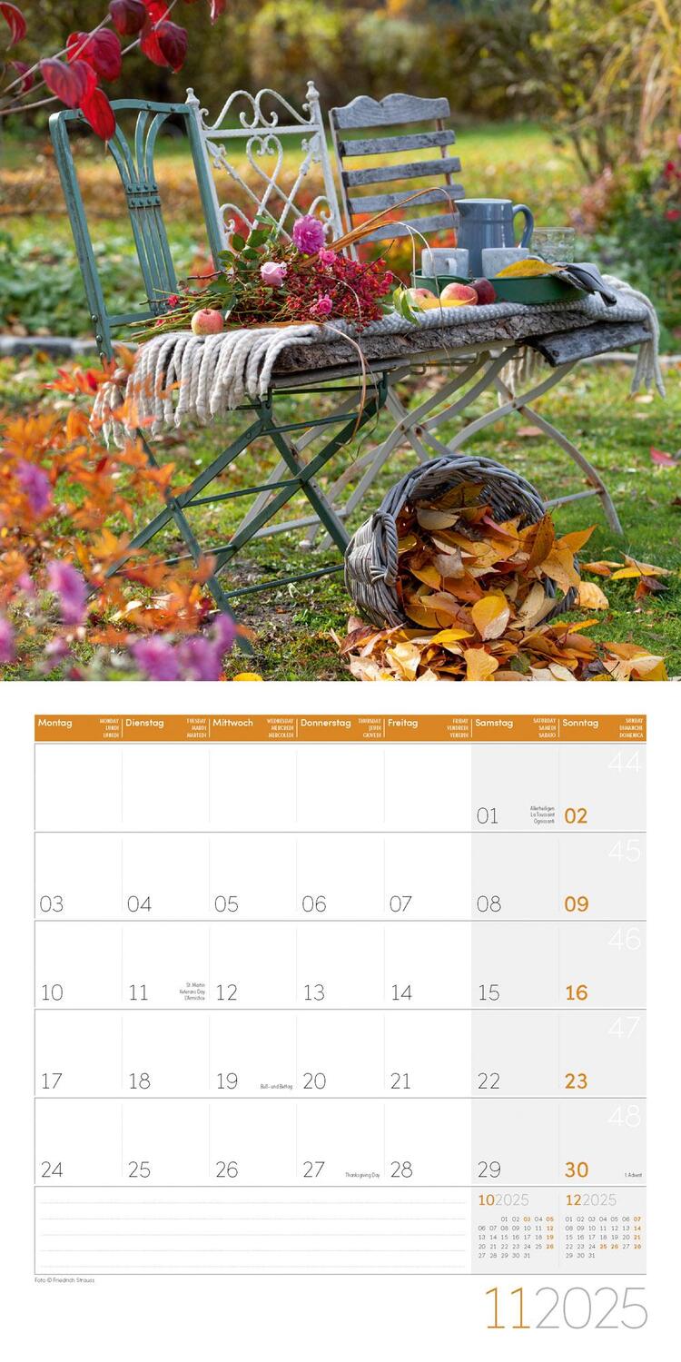 Bild: 9783838445304 | In meinem Garten Kalender 2025 - 30x30 | Ackermann Kunstverlag | 28 S.