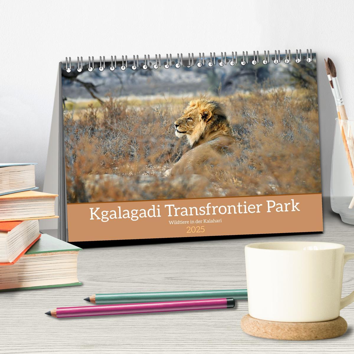 Bild: 9783435014521 | Kgalagadi - Fauna und Wildtiere in der Kalahari (Tischkalender 2025...