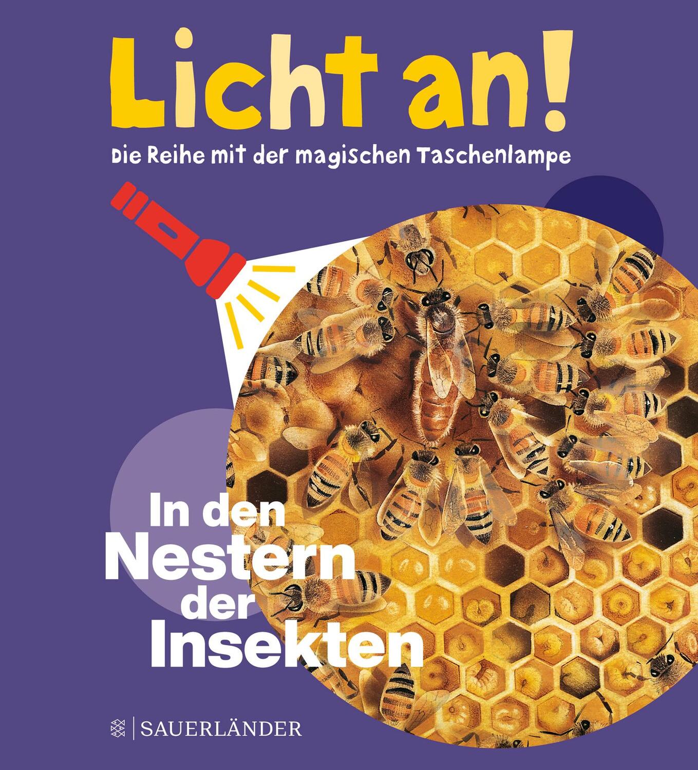 Cover: 9783737357807 | In den Nestern der Insekten | Licht an! | Buch | 24 S. | Deutsch