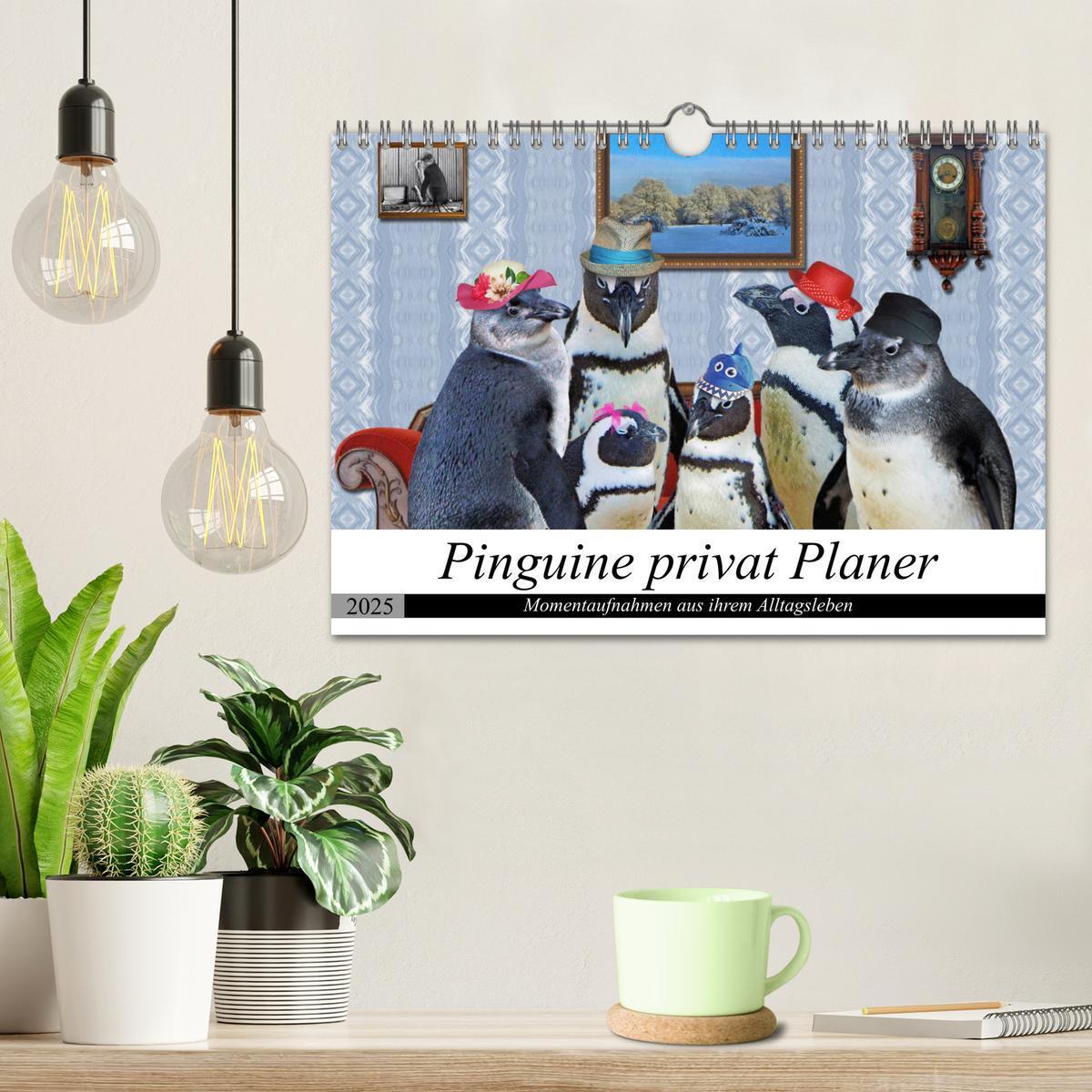 Bild: 9783435313877 | Pinguine privat Planer (Wandkalender 2025 DIN A4 quer), CALVENDO...