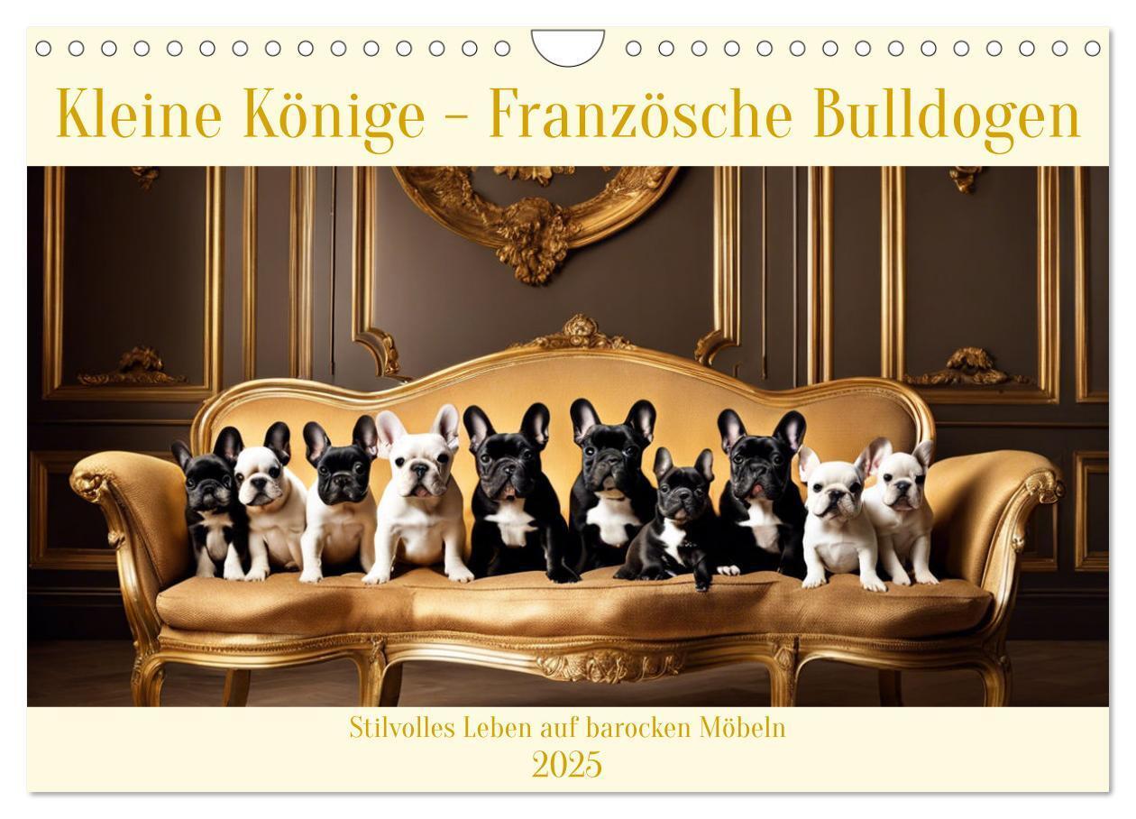 Cover: 9783383824975 | Kleine Könige - Französische Bulldoggen (Wandkalender 2025 DIN A4...