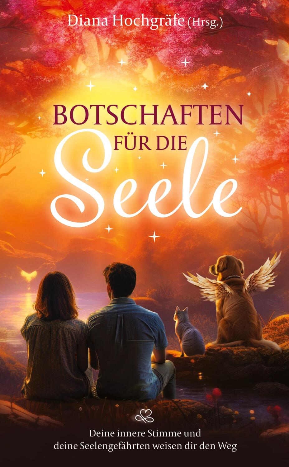 Cover: 9783384141965 | Botschaften für die Seele - Seelenbotschaften und...