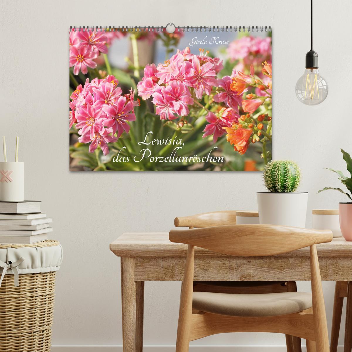 Bild: 9783435132775 | Lewisia, das Porzellanröschen (Wandkalender 2025 DIN A3 quer),...