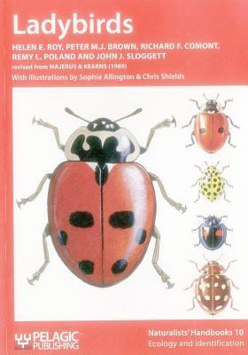 Cover: 9781907807077 | Ladybirds | Helen E Roy (u. a.) | Taschenbuch | Englisch | 2013