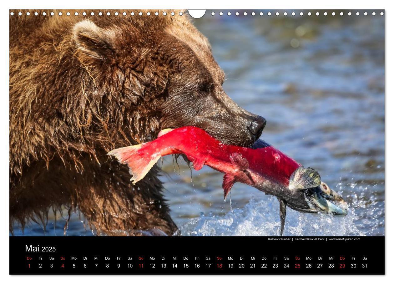 Bild: 9783435636365 | Alaska 2025 Wildes Land am Ende der Welt (Wandkalender 2025 DIN A3...