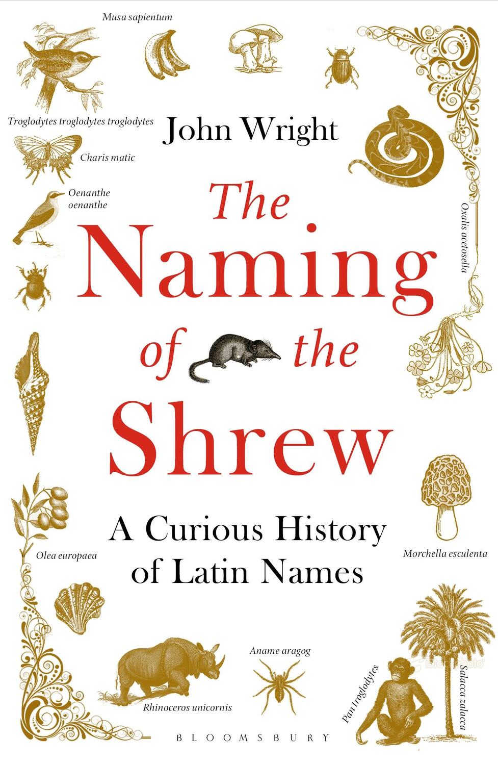 Cover: 9781408865552 | The Naming of the Shrew | A Curious History of Latin Names | Wright