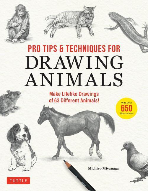 Cover: 9780804856119 | Pro Tips &amp; Techniques for Drawing Animals | Michiyo Miyanaga | Buch