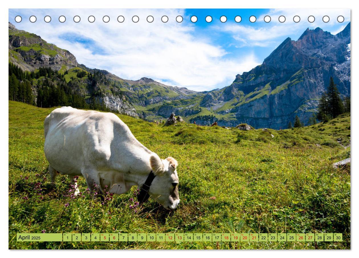 Bild: 9783435356577 | Alpentraum Kandersteg (Tischkalender 2025 DIN A5 quer), CALVENDO...