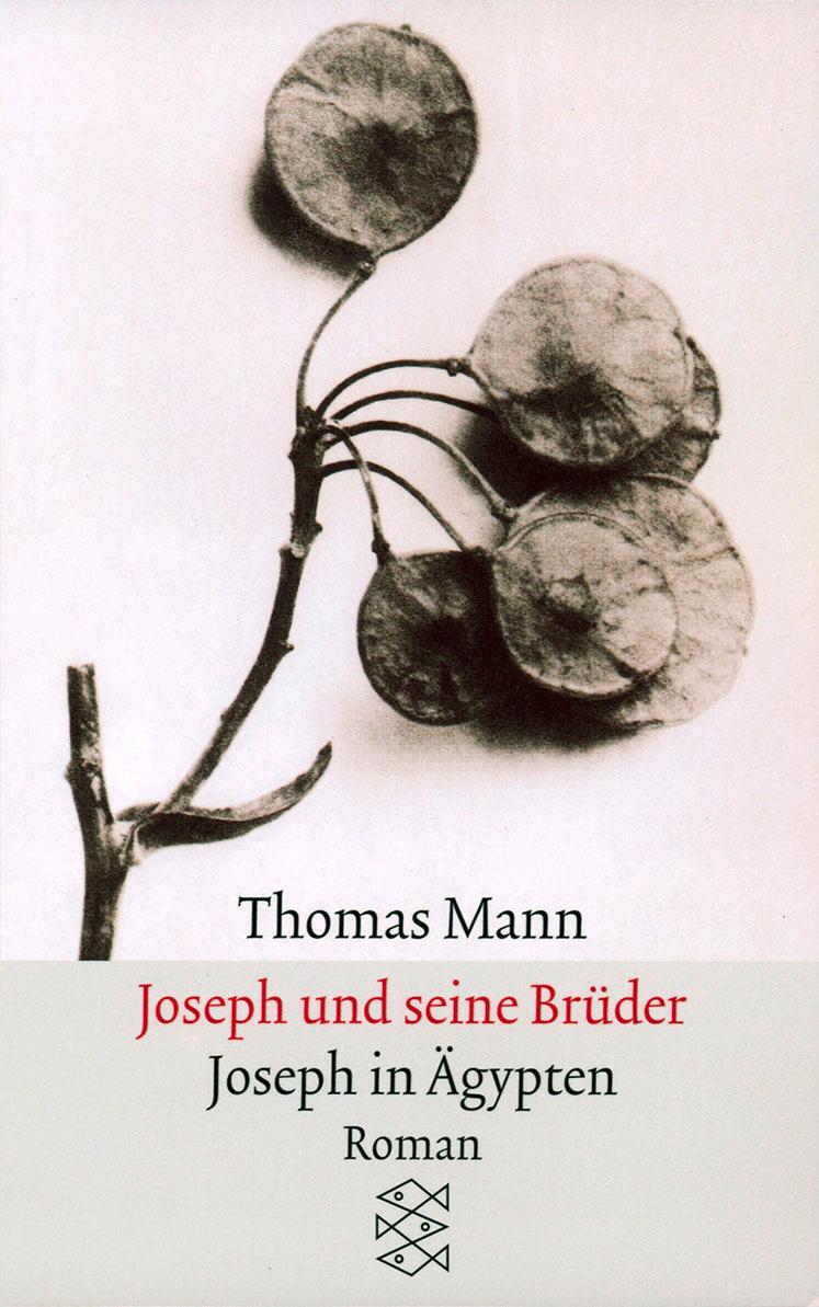 Cover: 9783596294374 | Joseph und seine BrüderIII. Joseph in Ägypten | Thomas Mann | Buch