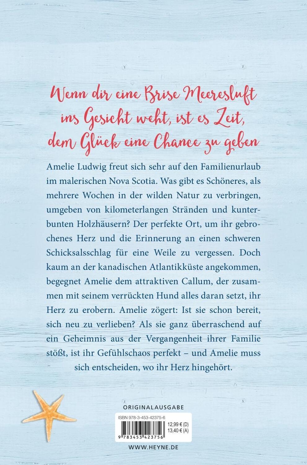 Bild: 9783453423756 | Träume in Meeresgrün | Roman | Miriam Covi | Taschenbuch | Deutsch