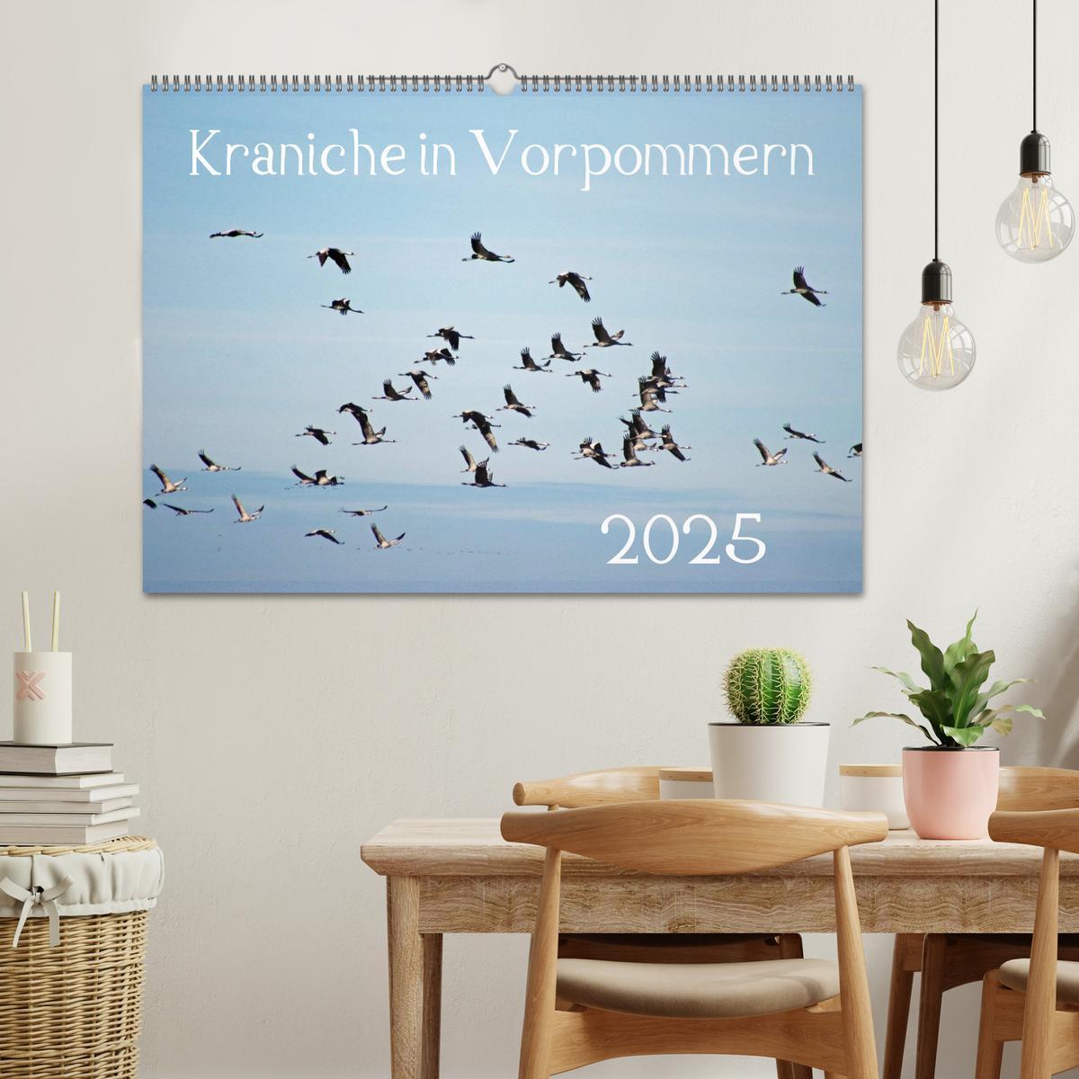 Bild: 9783435648917 | Kraniche in Vorpommern (Wandkalender 2025 DIN A2 quer), CALVENDO...