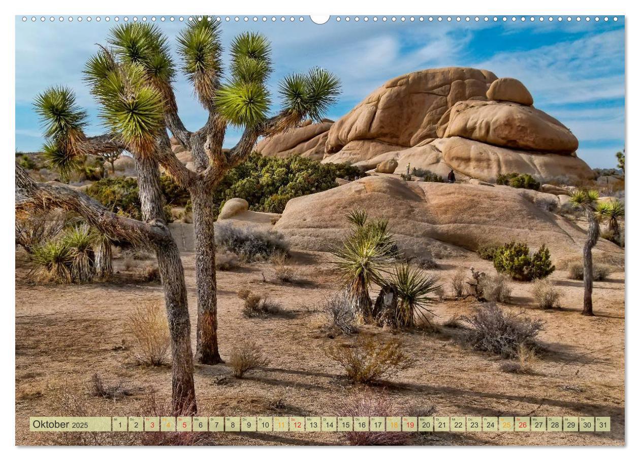 Bild: 9783435481170 | Nationalparks der USA - atemberaubend schön (Wandkalender 2025 DIN...