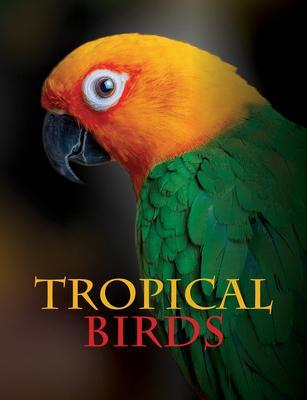 Cover: 9781838861964 | Tropical Birds | Tom Jackson | Buch | Animals | Gebunden | Englisch
