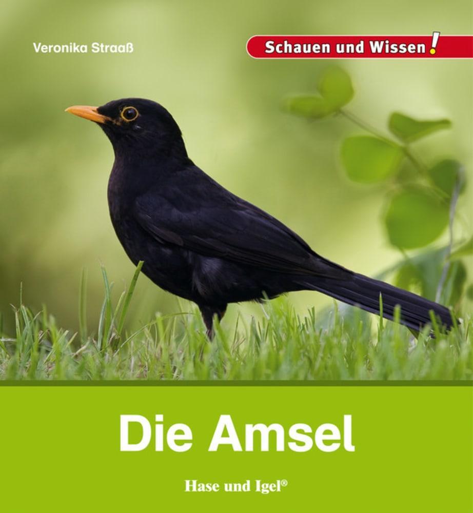 Cover: 9783867607643 | Die Amsel | Schauen und Wissen! | Veronika Straaß | Buch | 34 S.